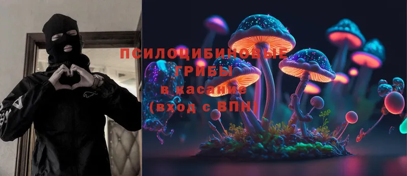 Псилоцибиновые грибы MAGIC MUSHROOMS  Полтавская 